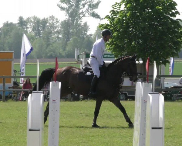 Reitturnier Wilkenburg 2024