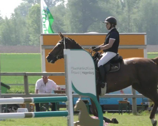 Reitturnier Wilkenburg 2024