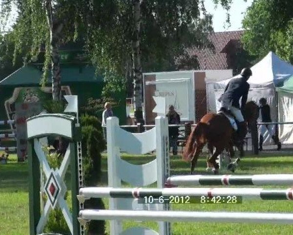 Großes Sommerturnier in Hille 2012