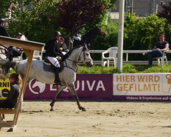 Reitturnier Bornheim-Widdig 2024