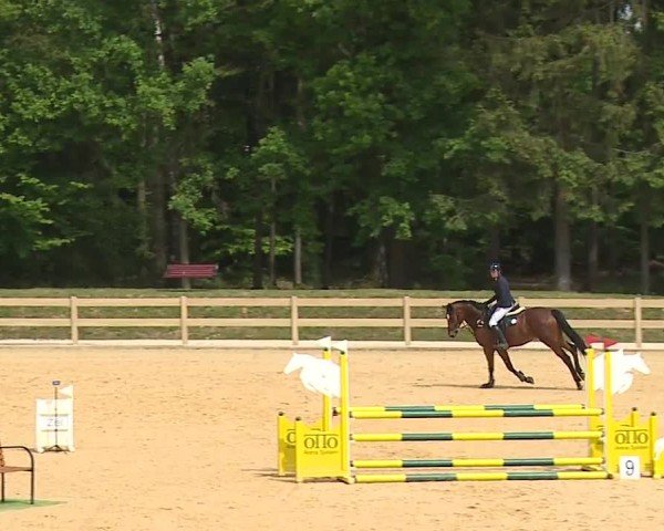 Reitturnier Tiefenhof/Opf. 2024