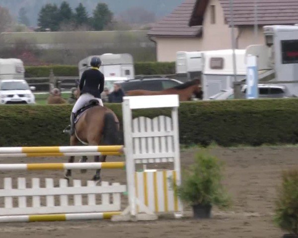 Reitturnier Sachendorf 2022
