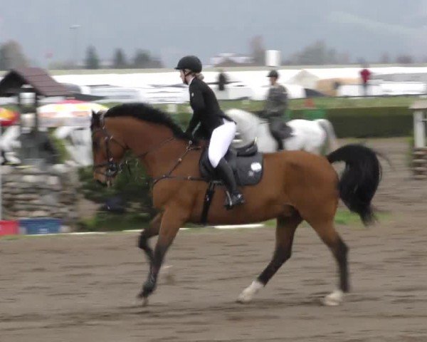 Reitturnier Sachendorf 2022