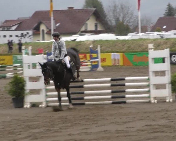 Reitturnier Sachendorf 2022