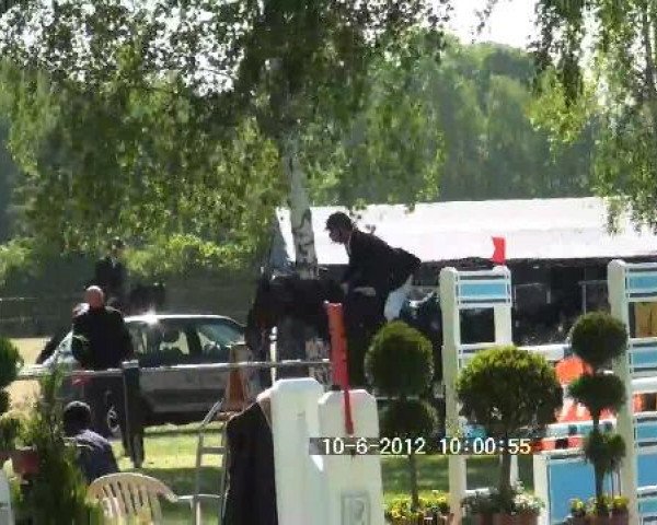 Großes Sommerturnier in Hille 2012