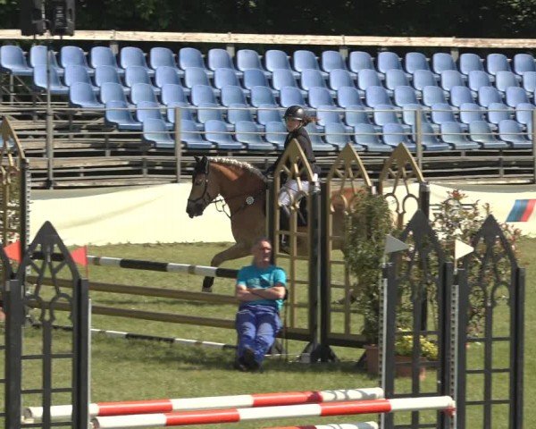 Reitturnier Scharnebeck 2024