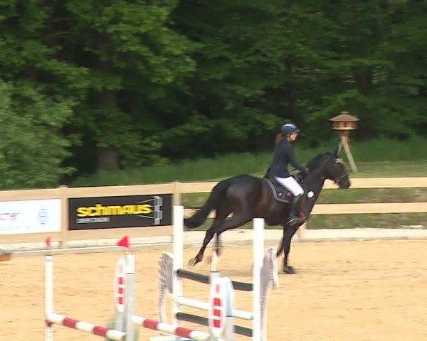 Reitturnier Tiefenhof/Opf. 2024