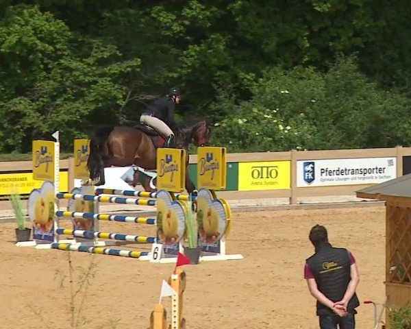 Reitturnier Tiefenhof/Opf. 2024