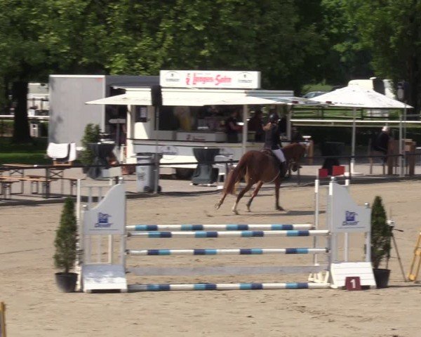 Reitturnier Hamm-Rhynern 2024