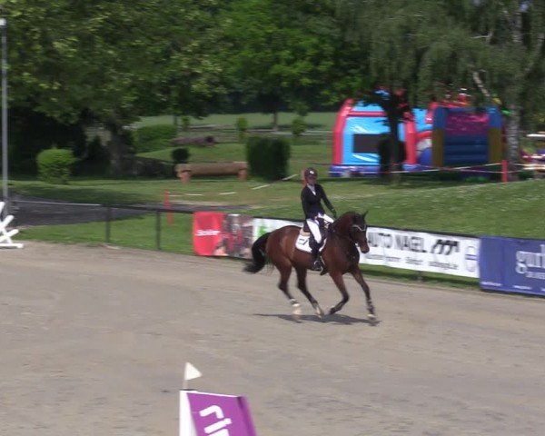 Reitturnier Hamm-Rhynern 2024