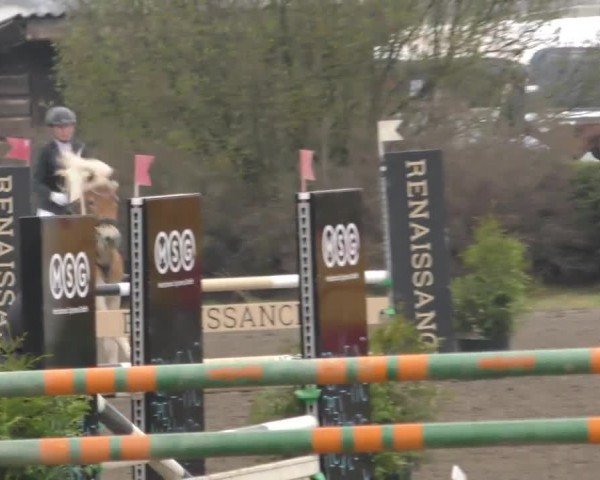 Reitturnier Sachendorf 2022