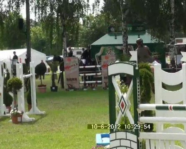 Großes Sommerturnier in Hille 2012