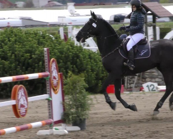 Reitturnier Sachendorf 2022