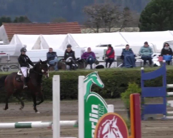 Reitturnier Sachendorf 2022