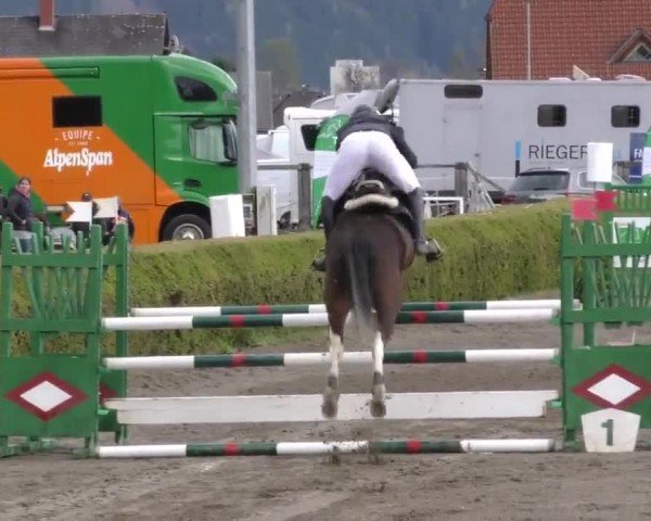 Reitturnier Sachendorf 2022