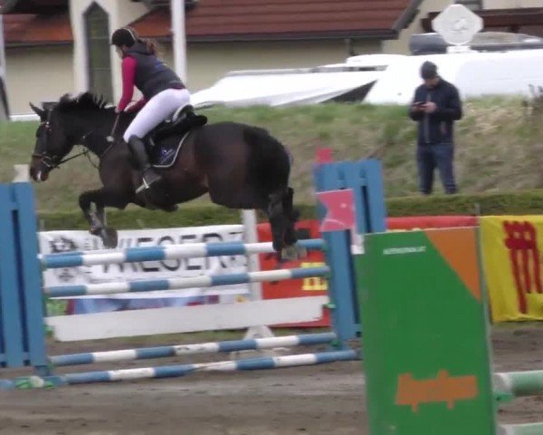 Reitturnier Sachendorf 2022