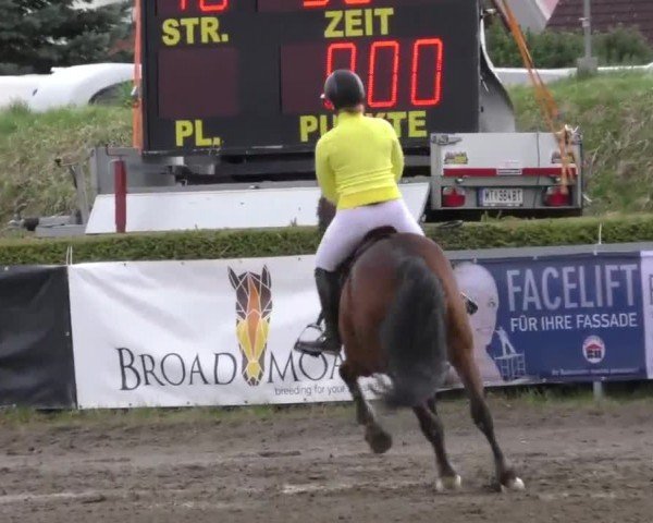 Reitturnier Sachendorf 2022