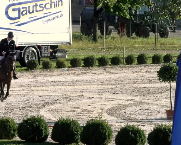 Basler Pferdesporttage Schänzli 2021