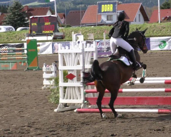 Reitturnier Sachendorf 2022