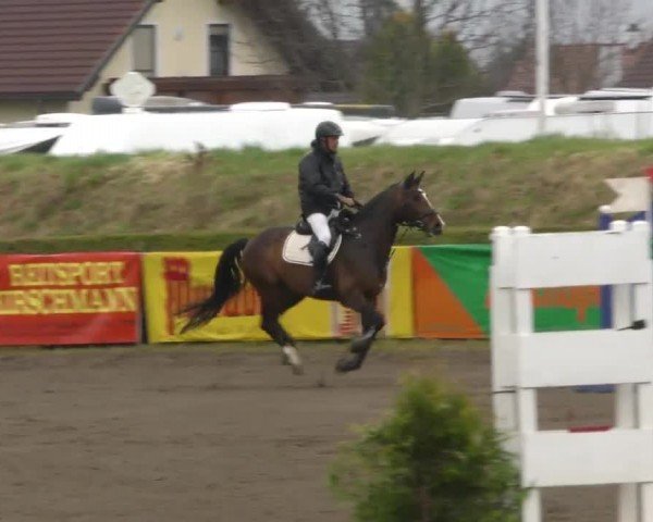 Reitturnier Sachendorf 2022