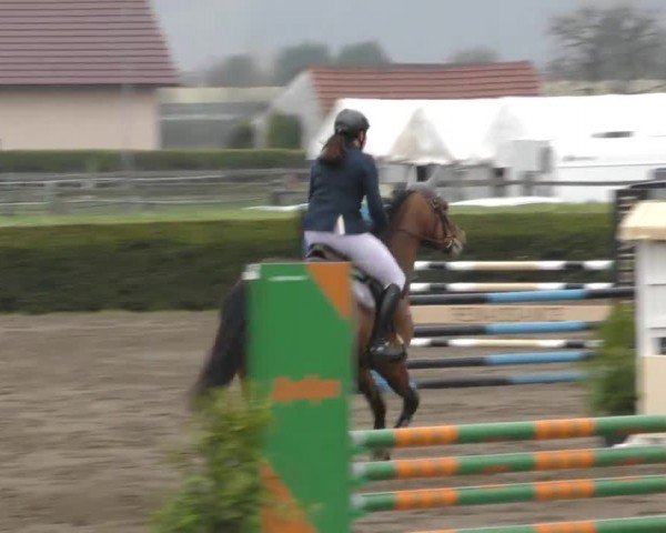 Reitturnier Sachendorf 2022