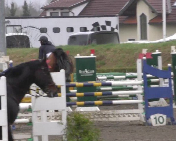 Reitturnier Sachendorf 2022