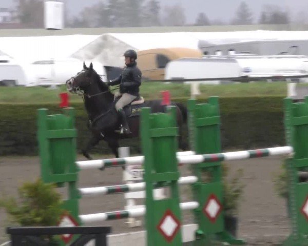 Reitturnier Sachendorf 2022