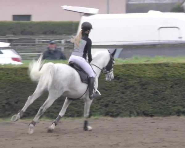 Reitturnier Sachendorf 2022