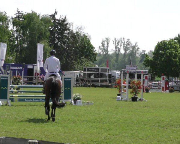 Reitturnier Wilkenburg 2024