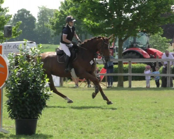 Reitturnier Wilkenburg 2024