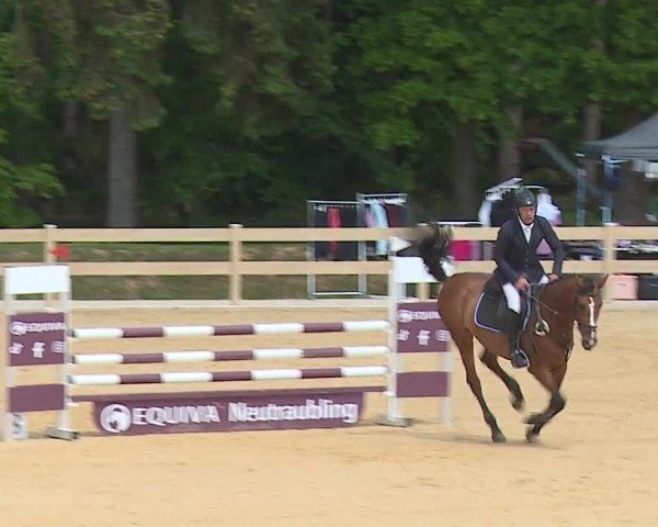 Reitturnier Tiefenhof/Opf. 2024
