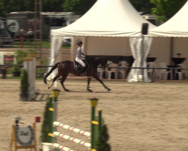 Reitturnier Hamm-Rhynern 2024
