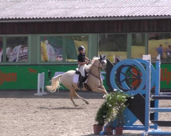 Reitturnier Gniebing-Feldbach 2022