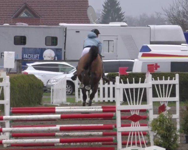 Reitturnier Sachendorf 2022
