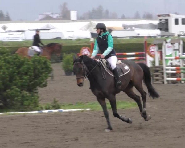 Reitturnier Sachendorf 2022