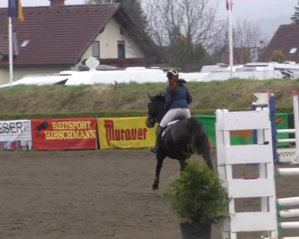 Reitturnier Sachendorf 2022
