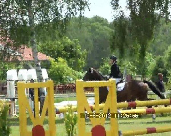 Großes Sommerturnier in Hille 2012