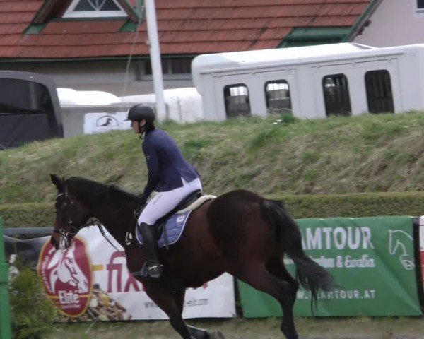 Reitturnier Sachendorf 2022