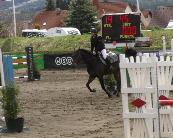 Reitturnier Sachendorf 2022