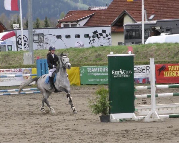 Reitturnier Sachendorf 2022