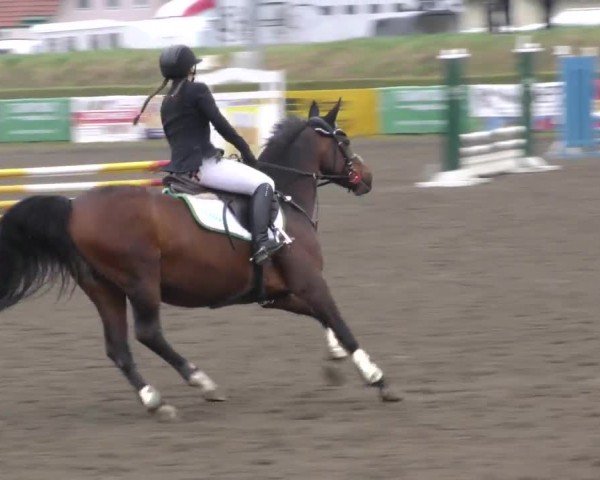 Reitturnier Sachendorf 2022