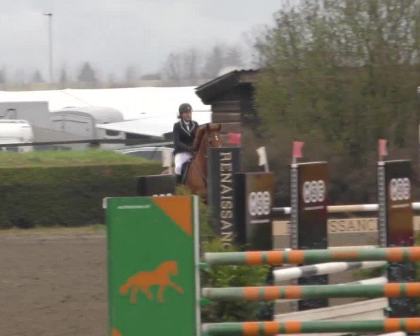 Reitturnier Sachendorf 2022