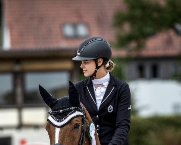Dressurpferd Donnington 2 (Oldenburger, 2005, von Don Laurie 143 FIN) Dressurpferd Donnington 2 (Oldenburger, 2005, von Don Laurie 143 FIN)