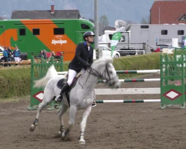Reitturnier Sachendorf 2022