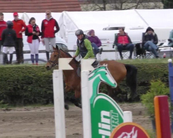 Reitturnier Sachendorf 2022