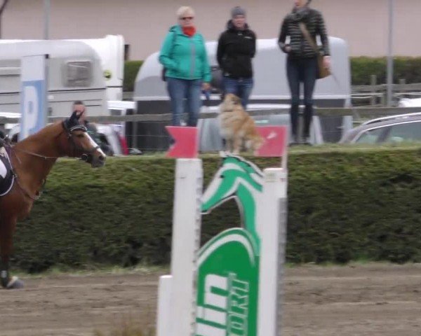 Reitturnier Sachendorf 2022