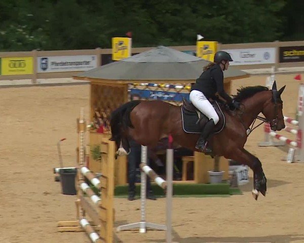 Reitturnier Tiefenhof/Opf. 2024