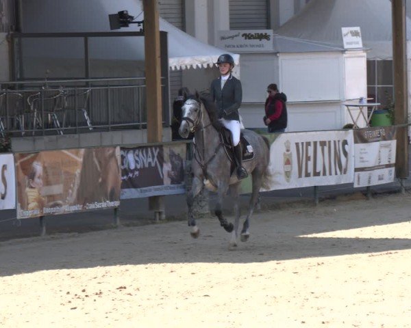 Reitturnier Hellefeld 2024