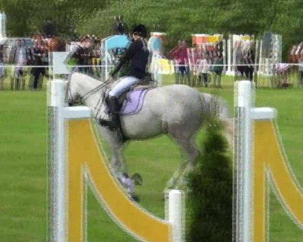 Reitturnier Hille 2012