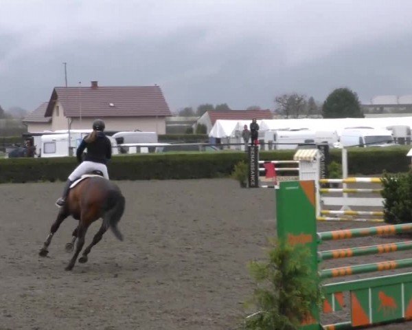 Reitturnier Sachendorf 2022